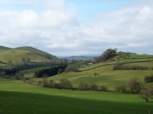 Scenery (Mid-Wales)